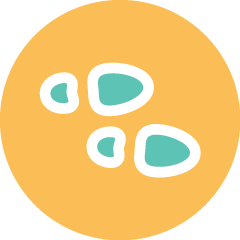 Insulin-Dependent Diabetes Mellitus