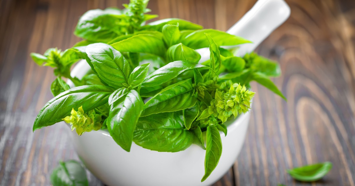 Basil là gì? Khám phá chi tiết từ A - Z kiến thức về loại thảo mộc này ...