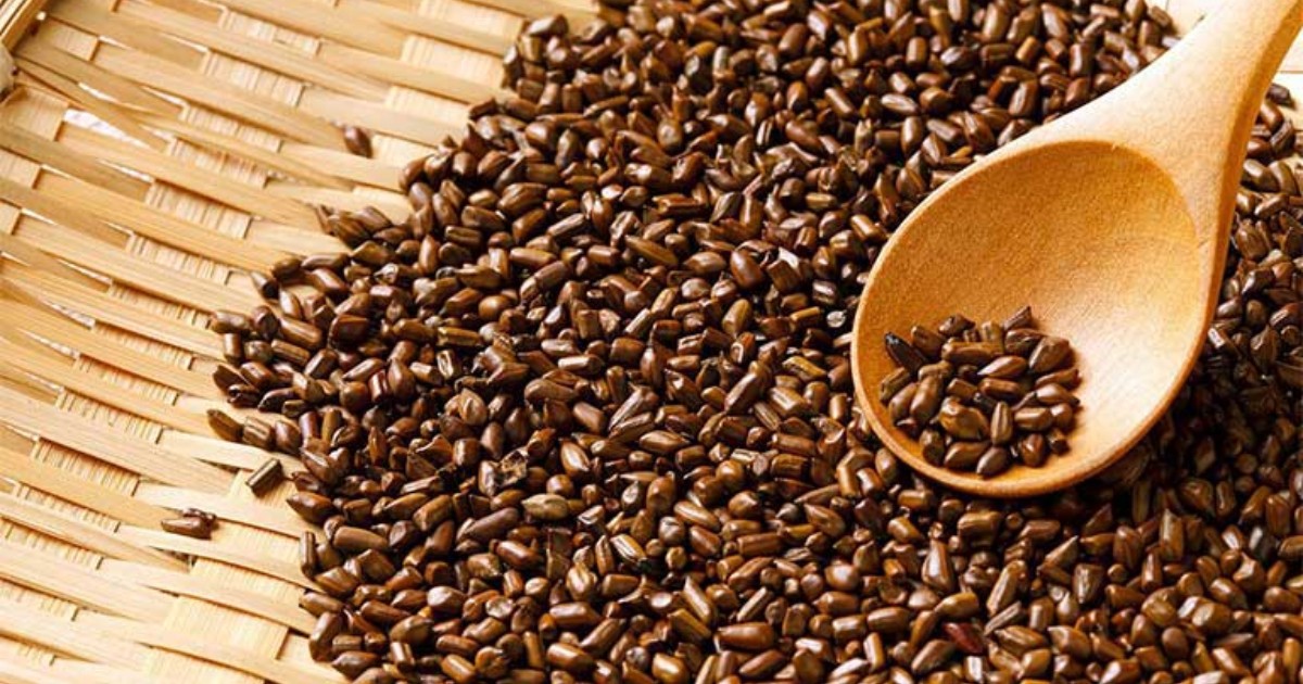 Hạt muồng có tác dụng gì? 8 Lợi ích đặc biệt không phải ai cũng biết | AIA Vietnam